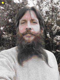Beardy Weirdy in motion